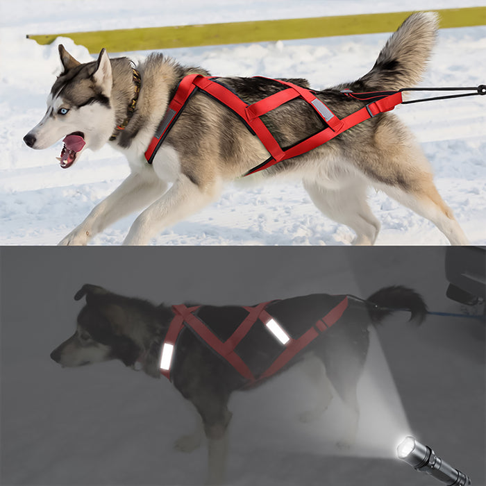 Dog Weight Pulling Harness Sports Exercises Pet Sled Pulling Harness Reflective