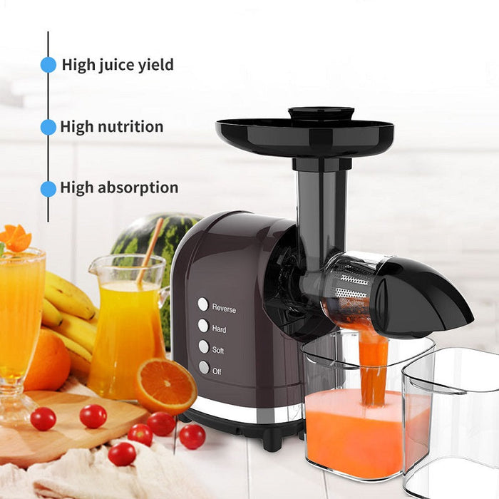 200W Electric Fruit Vegetable Automatic Juicer Extractor Healthy Slow Speed Masticating Original Juicers